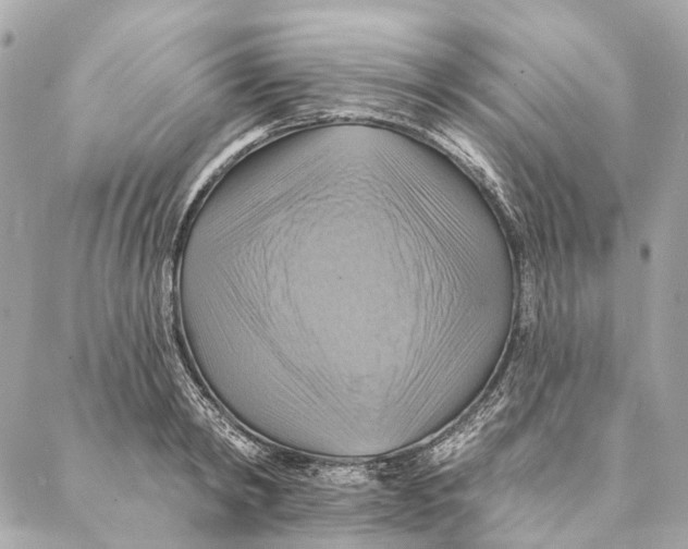 X0000087350798200705111618