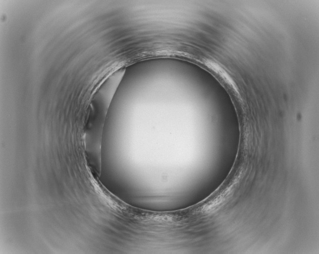 X0000087350801200705111618