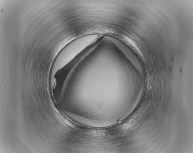X0000087350802200705111618