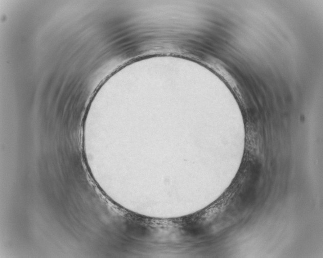 X0000087350807200705111618