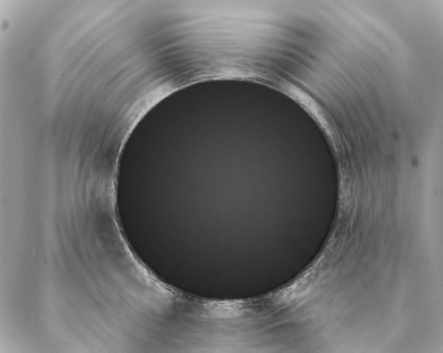 X0000087350810200705111618