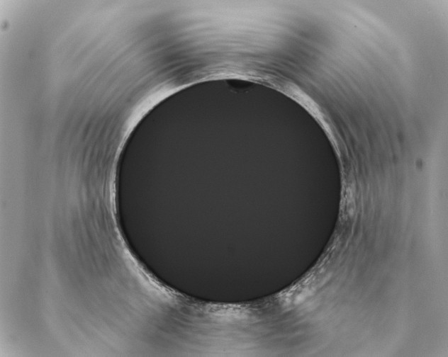 X0000087350811200705111618