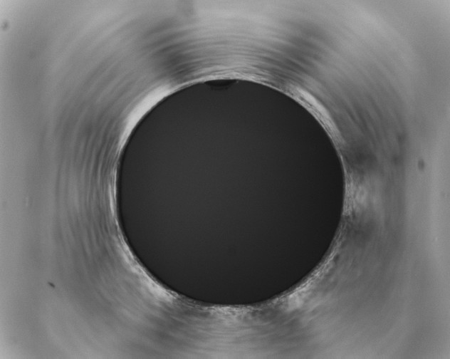X0000087350812200705111618