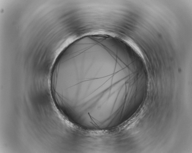 X0000087350813200705111618