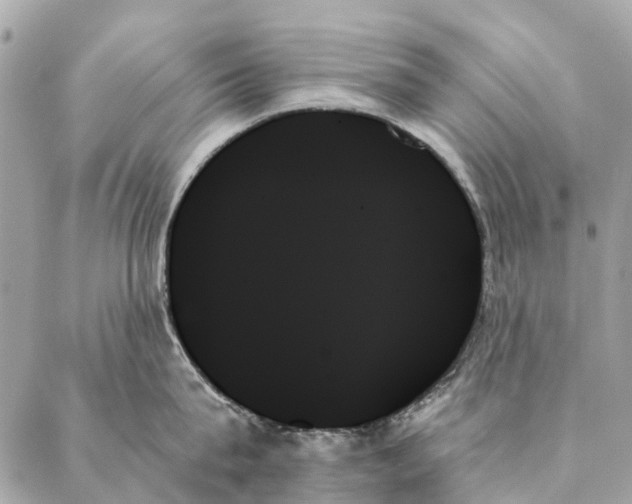 X0000087350815200705111618