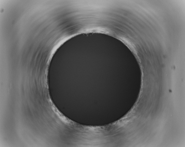 X0000087350816200705111618