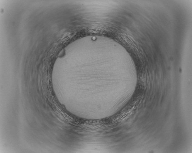 X0000087350817200705111617