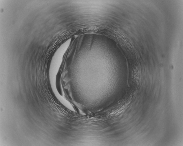 X0000087350818200705111617