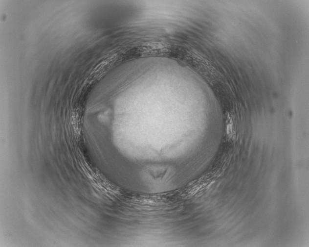 X0000087350819200705111617