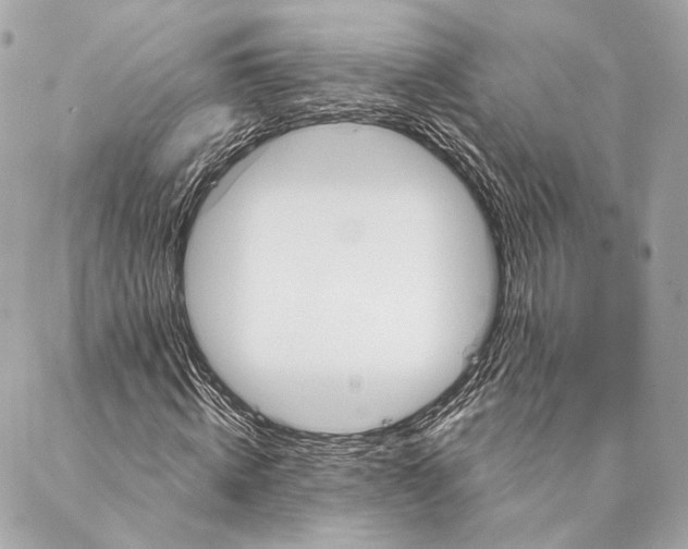 X0000087350820200705111617