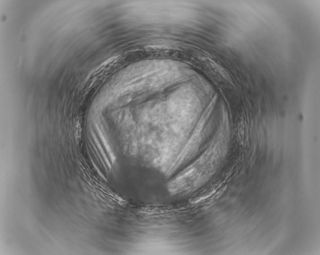 X0000087350821200705111617