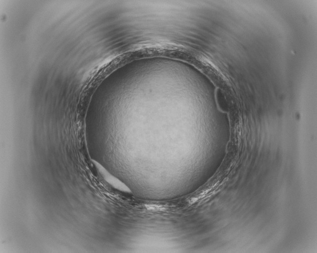 X0000087350822200705111617