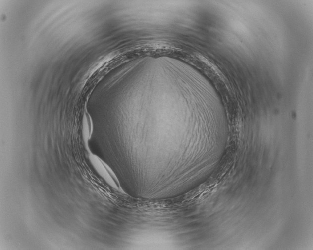 X0000087350823200705111617