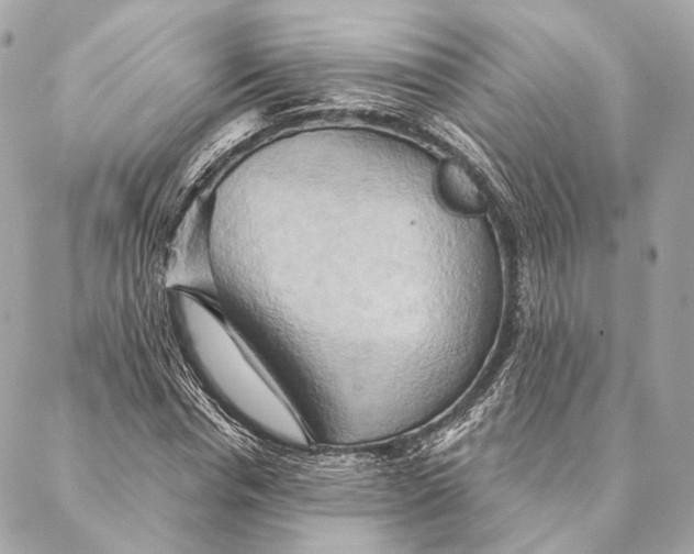 X0000087350826200705111617