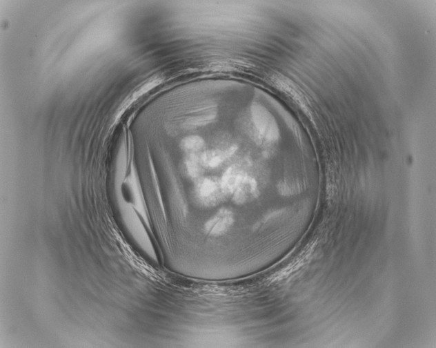 X0000087350827200705111617