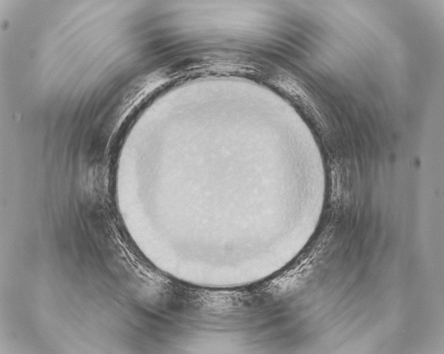 X0000087350828200705111618