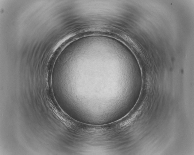 X0000087350830200705111618
