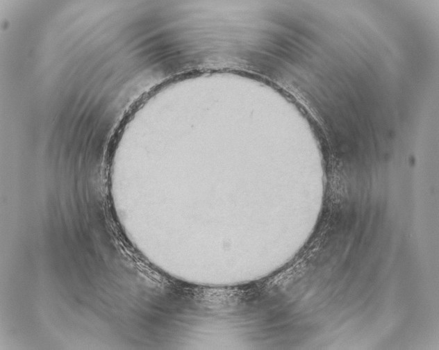 X0000087350832200705111618