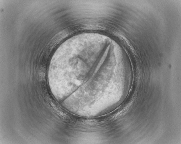 X0000087350833200705111618