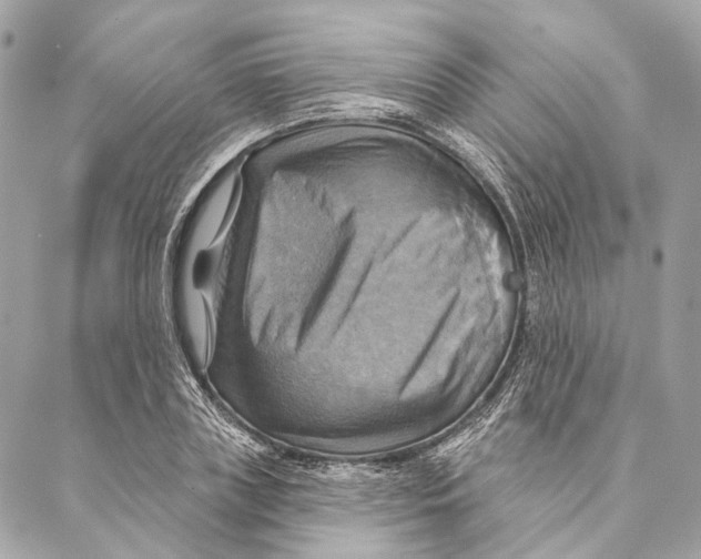 X0000087350835200705111618