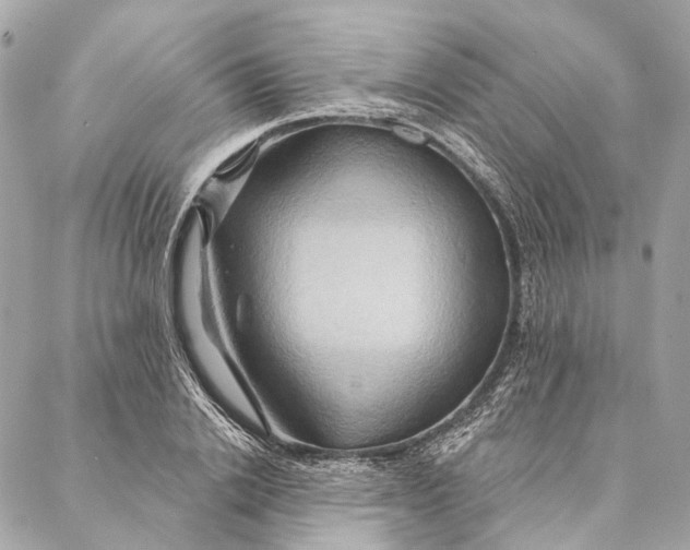 X0000087350838200705111618