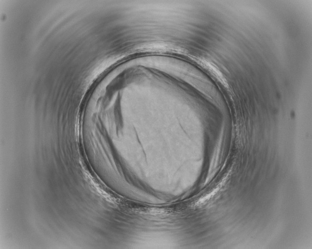 X0000087350839200705111618