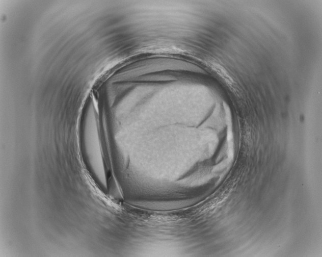 X0000087350840200705111618