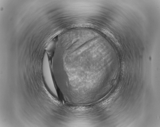 X0000087350841200705111618