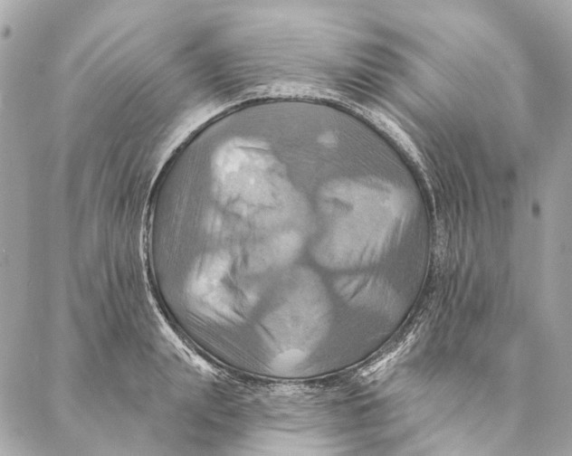 X0000087350847200705111618