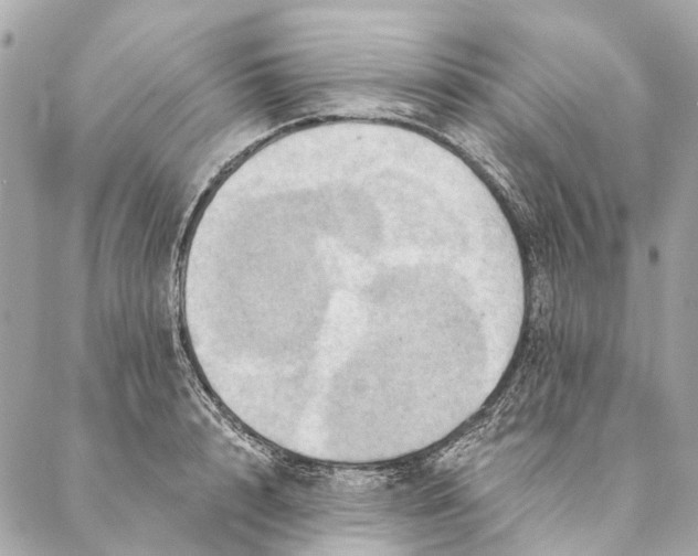 X0000087350848200705111618