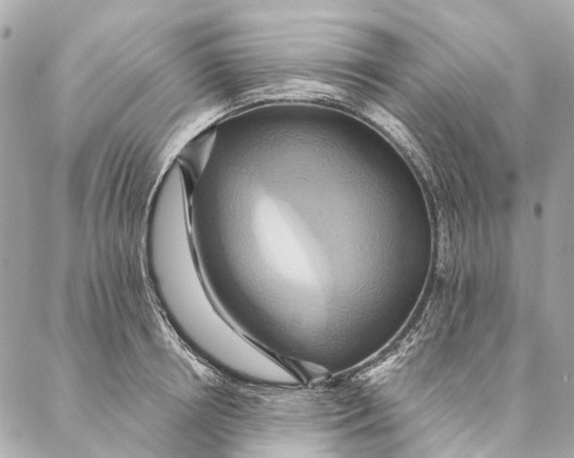 X0000087350850200705111618