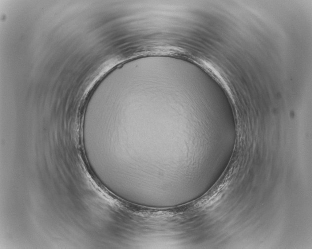 X0000087350851200705111618