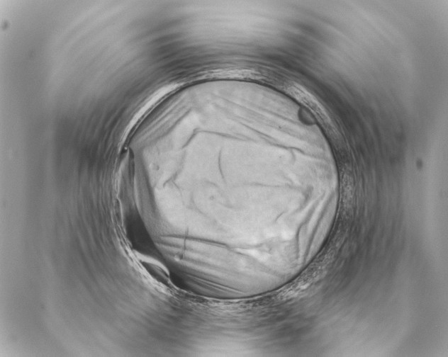 X0000087350852200705111618