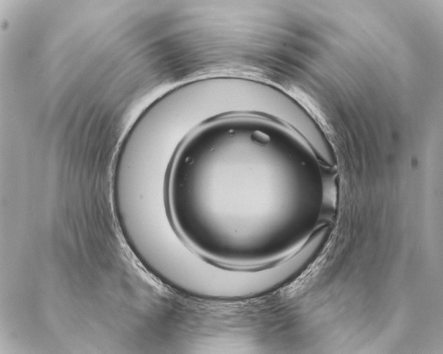 X0000087350854200705111618