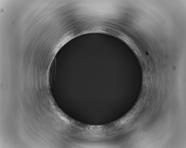 X0000087350858200705111618