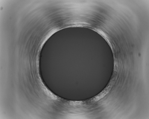 X0000087350859200705111618