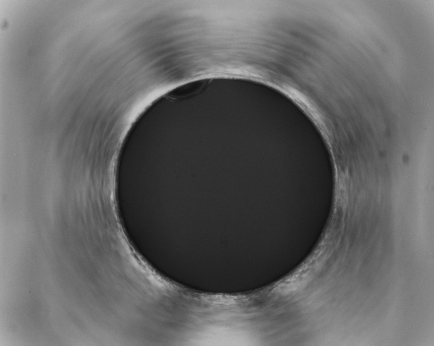 X0000087350862200705111618