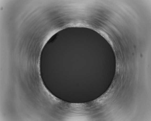 X0000087350863200705111618