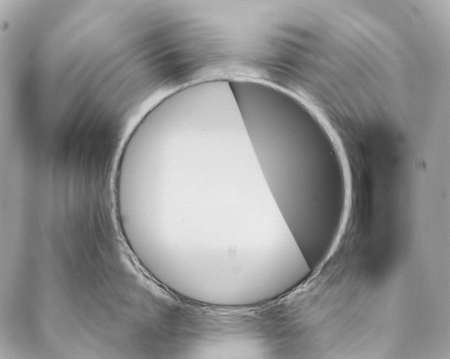 X0000087350864200705111618