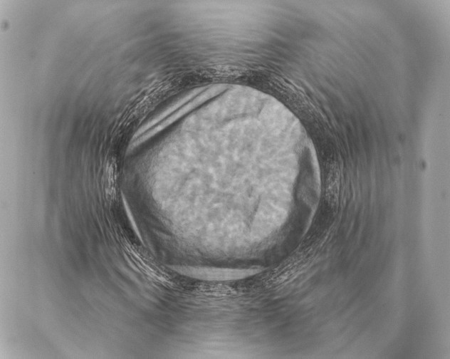 X0000087350866200705111617