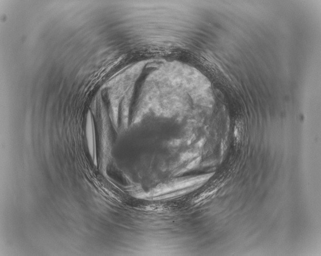 X0000087350867200705111617