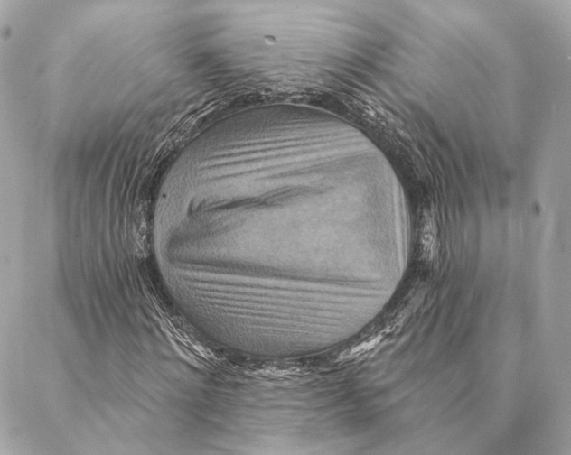 X0000087350868200705111617