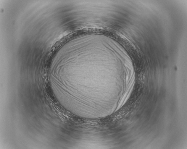 X0000087350870200705111617