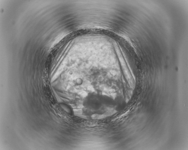 X0000087350871200705111617