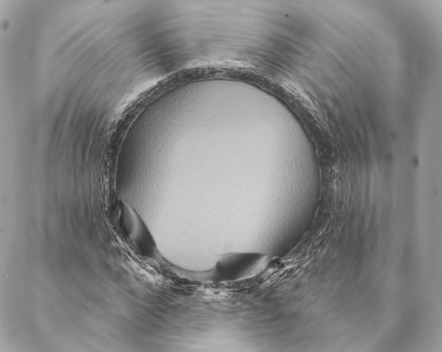 X0000087350872200705111617