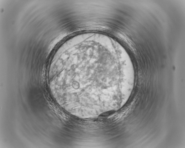 X0000087350875200705111617