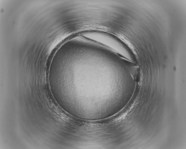 X0000087350877200705111617