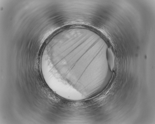 X0000087350879200705111617