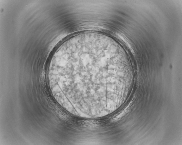 X0000087350883200705111617