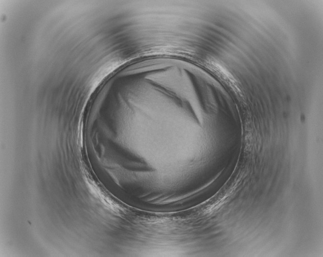 X0000087350892200705111617